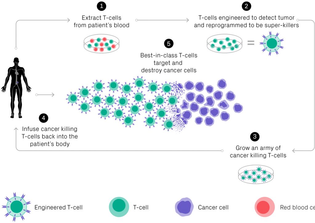 CART and Cell Therapy The Next Wave Parker Institute for Cancer