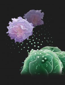 Exosomes can suppress T-cells