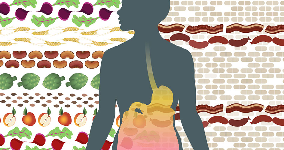 graphic of microbiome and dietary factors affecting immunotherapy response