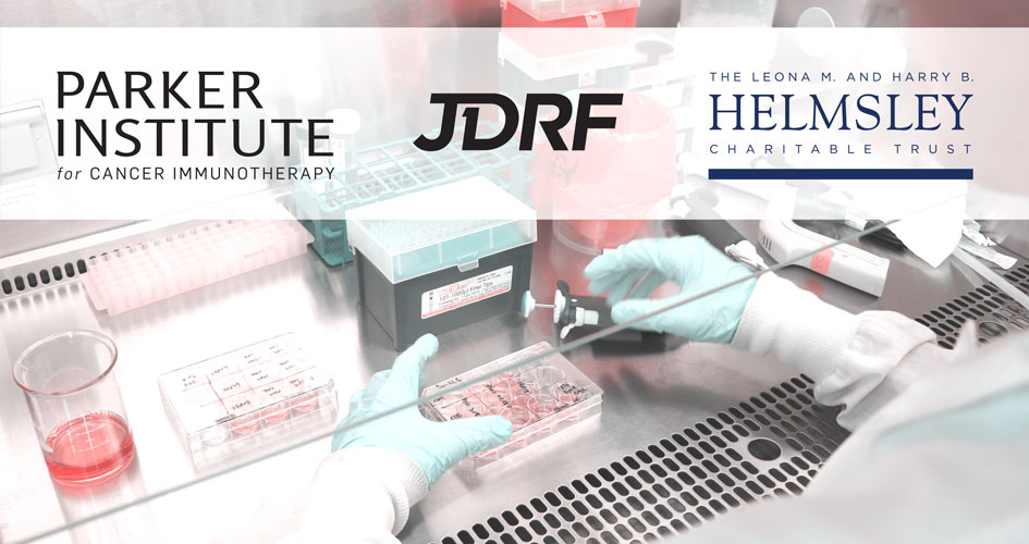 PICI JDRF Helmsley Trust Cancer Diabetes Research