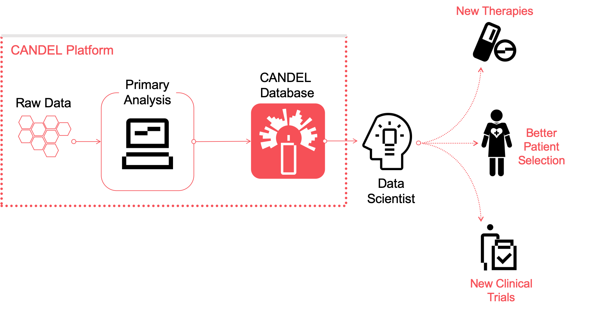 CANDEL platform flowchart